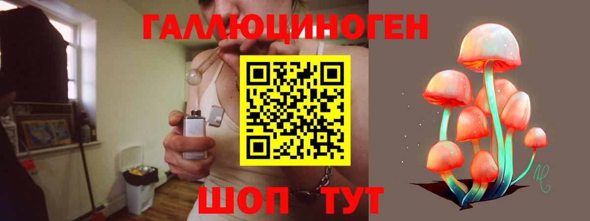 Псилоцибиновые грибы прущие грибы Пенза